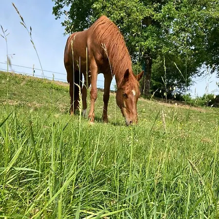 Appartement De Charme Au Coeur De L'entre-deux-mers