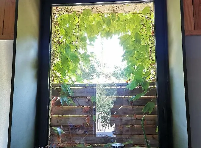 De Charme Au Coeur De L'entre-deux-mers شقة Haux (Gironde)